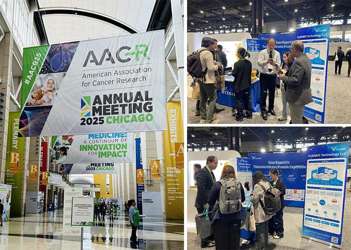 2025 AACR