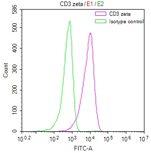 CSB-RA244537A0HU