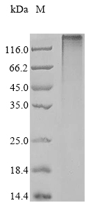 CSB-CF854051HU(A4)